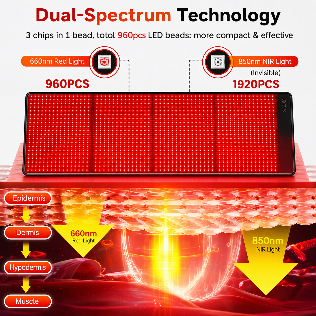 Elevevabeauty × Red Light Therapy - Recover Your Body. Restore Your Glow.